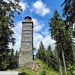 Levandule Krusne Hory - Erzgebirge *