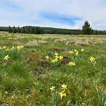 Levandule Krusne Hory - Erzgebirge * Horní Blatná