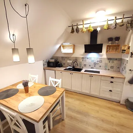 Levandule Krušné Hory - Erzgebirge *