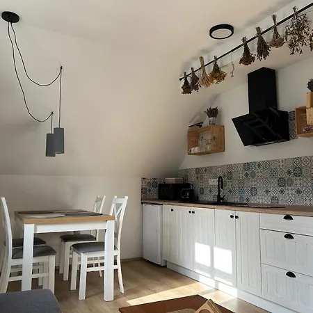 Levandule Krušné Hory - Erzgebirge Appartement Horní Blatná