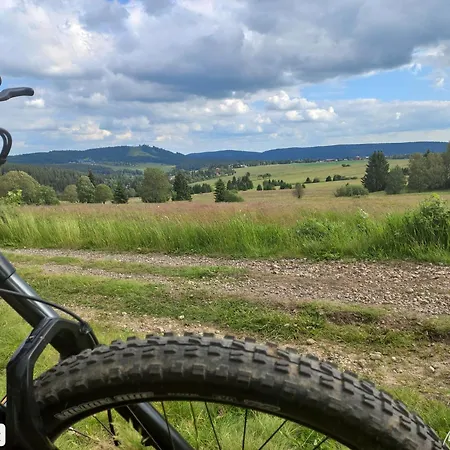 Levandule Krušné Hory - Erzgebirge Appartement *