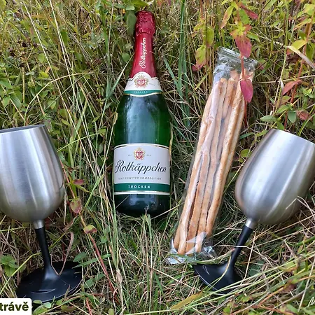Levandule Krušné Hory - Erzgebirge Appartement Horní Blatná